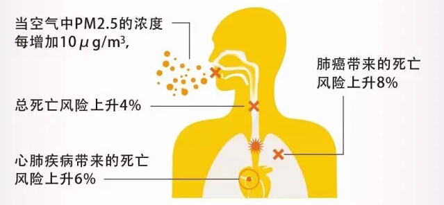 空气净化