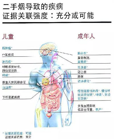 吸烟室空气净化机